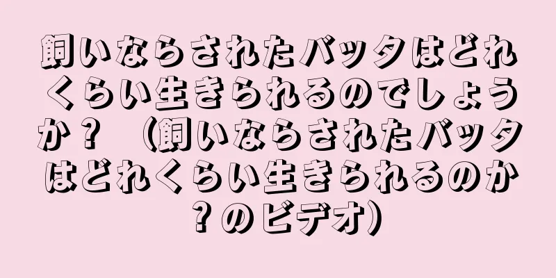 飼いならされたバッタはどれくらい生きられるのでしょうか？ （飼いならされたバッタはどれくらい生きられるのか？のビデオ）