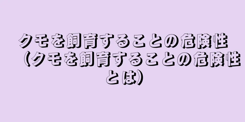 クモを飼育することの危険性（クモを飼育することの危険性とは）