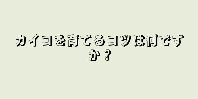 カイコを育てるコツは何ですか？