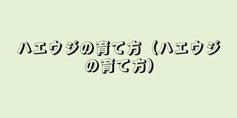 ハエウジの育て方（ハエウジの育て方）