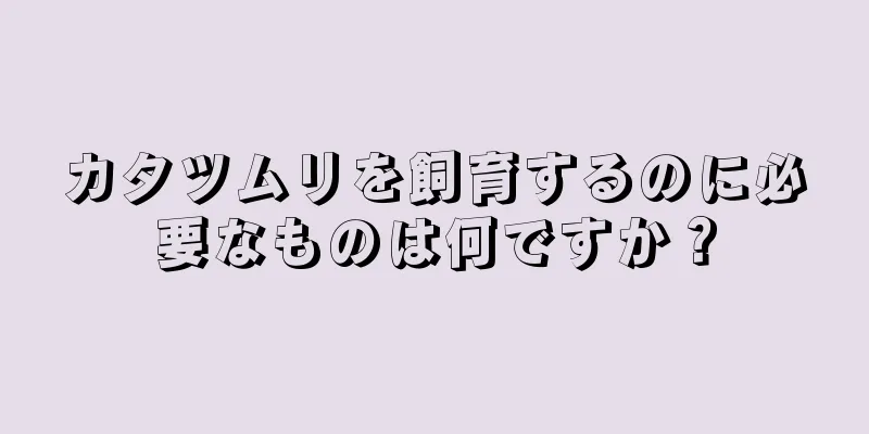 カタツムリを飼育するのに必要なものは何ですか？