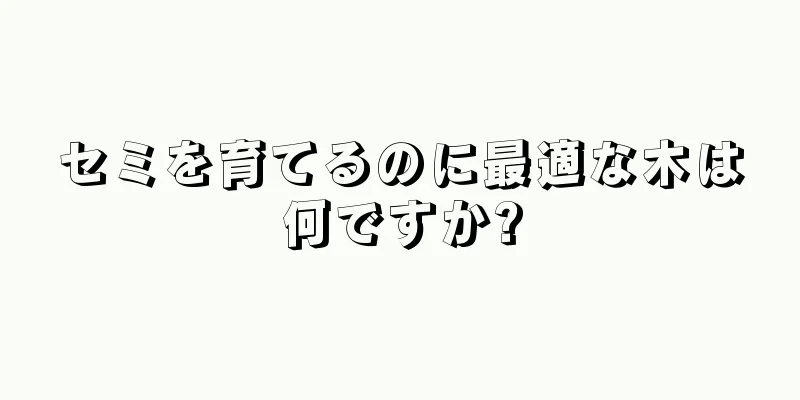 セミを育てるのに最適な木は何ですか?