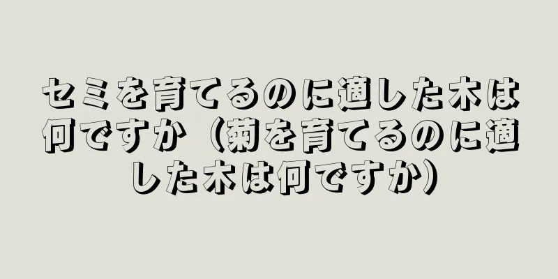 セミを育てるのに適した木は何ですか（菊を育てるのに適した木は何ですか）
