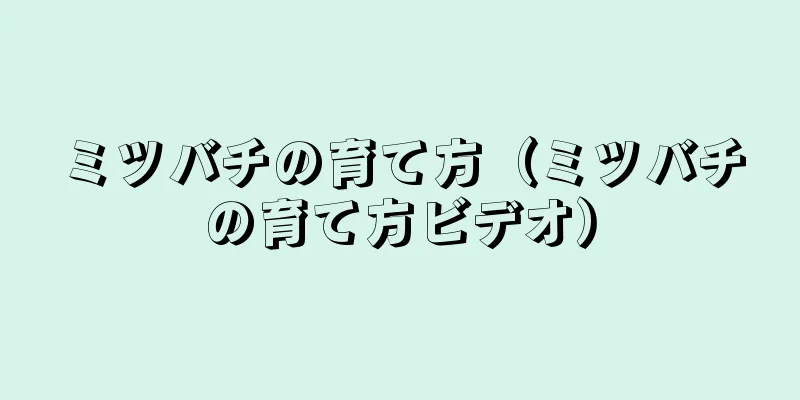 ミツバチの育て方（ミツバチの育て方ビデオ）