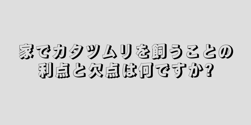 家でカタツムリを飼うことの利点と欠点は何ですか?
