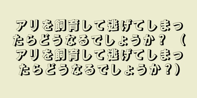 アリを飼育して逃げてしまったらどうなるでしょうか？ （アリを飼育して逃げてしまったらどうなるでしょうか？）