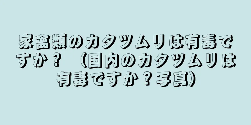 家禽類のカタツムリは有毒ですか？ （国内のカタツムリは有毒ですか？写真）