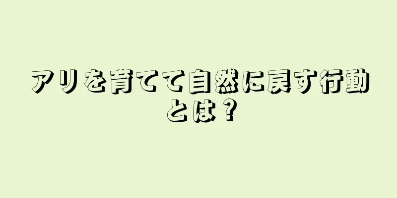 アリを育てて自然に戻す行動とは？