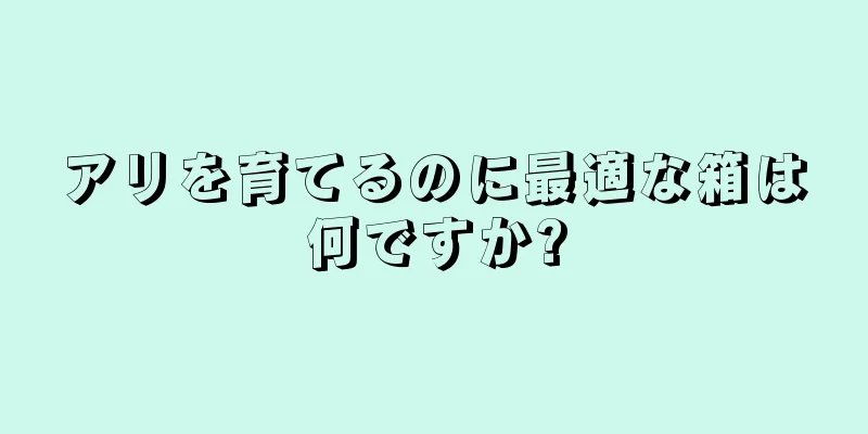 アリを育てるのに最適な箱は何ですか?