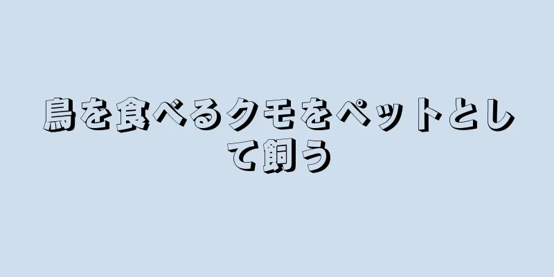 鳥を食べるクモをペットとして飼う