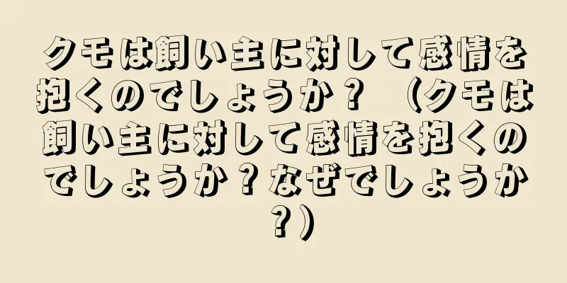 クモは飼い主に対して感情を抱くのでしょうか？ （クモは飼い主に対して感情を抱くのでしょうか？なぜでしょうか？）