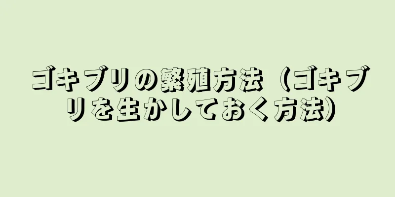 ゴキブリの繁殖方法（ゴキブリを生かしておく方法）