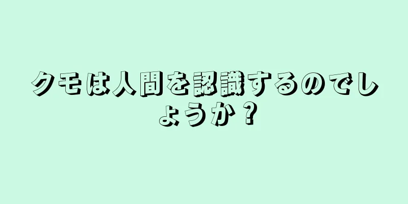 クモは人間を認識するのでしょうか？