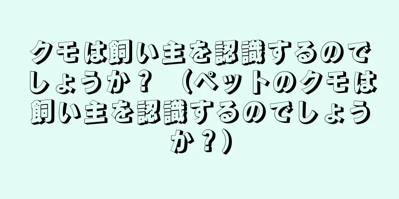 クモは飼い主を認識するのでしょうか？ （ペットのクモは飼い主を認識するのでしょうか？）