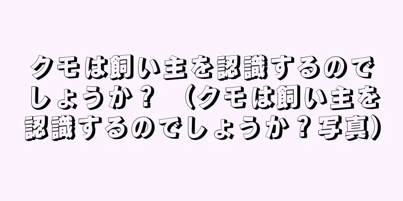 クモは飼い主を認識するのでしょうか？ （クモは飼い主を認識するのでしょうか？写真）