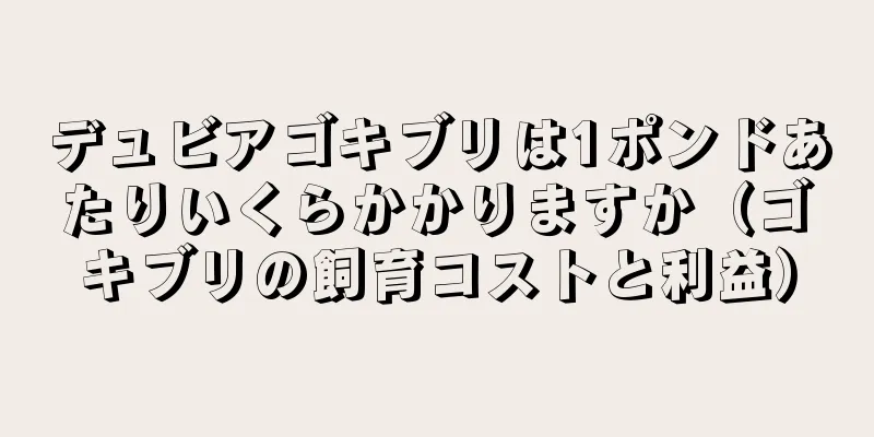 デュビアゴキブリは1ポンドあたりいくらかかりますか（ゴキブリの飼育コストと利益）