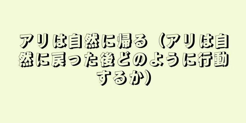 アリは自然に帰る（アリは自然に戻った後どのように行動するか）