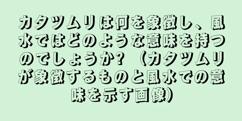 カタツムリは何を象徴し、風水ではどのような意味を持つのでしょうか? （カタツムリが象徴するものと風水での意味を示す画像）