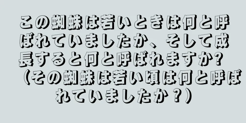 この蜘蛛は若いときは何と呼ばれていましたか、そして成長すると何と呼ばれますか? （その蜘蛛は若い頃は何と呼ばれていましたか？）
