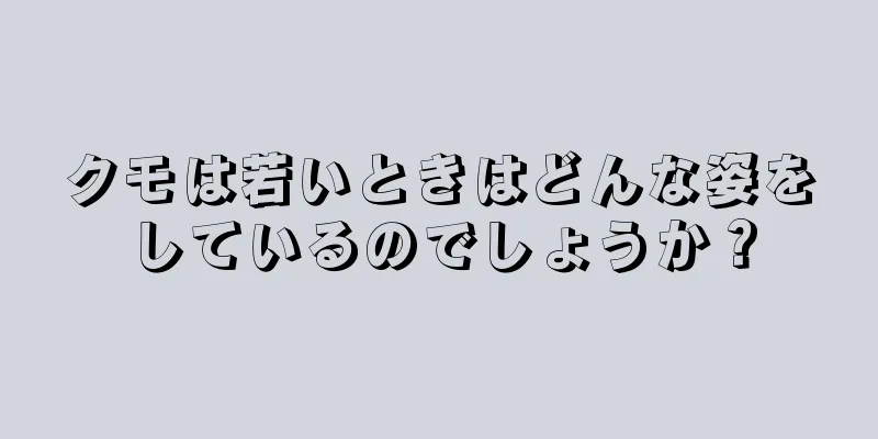 クモは若いときはどんな姿をしているのでしょうか？