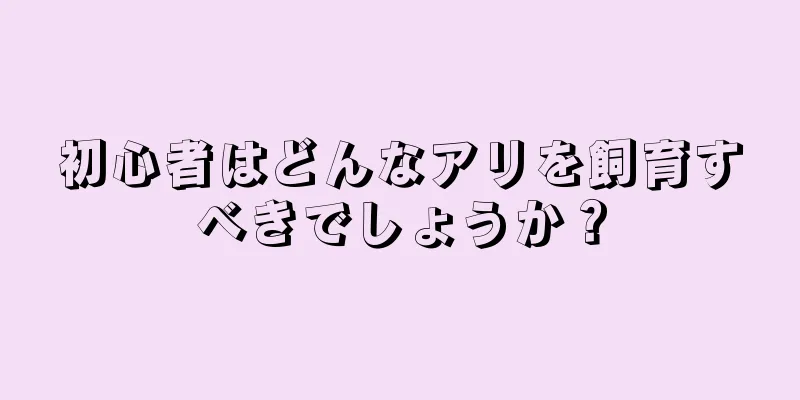 初心者はどんなアリを飼育すべきでしょうか？