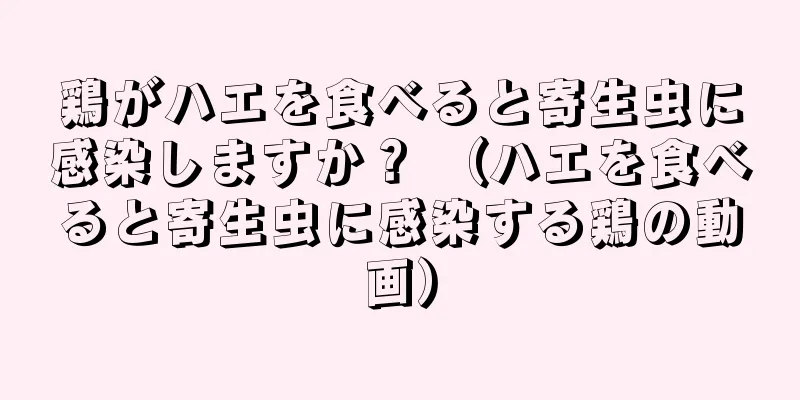 鶏がハエを食べると寄生虫に感染しますか？ （ハエを食べると寄生虫に感染する鶏の動画）