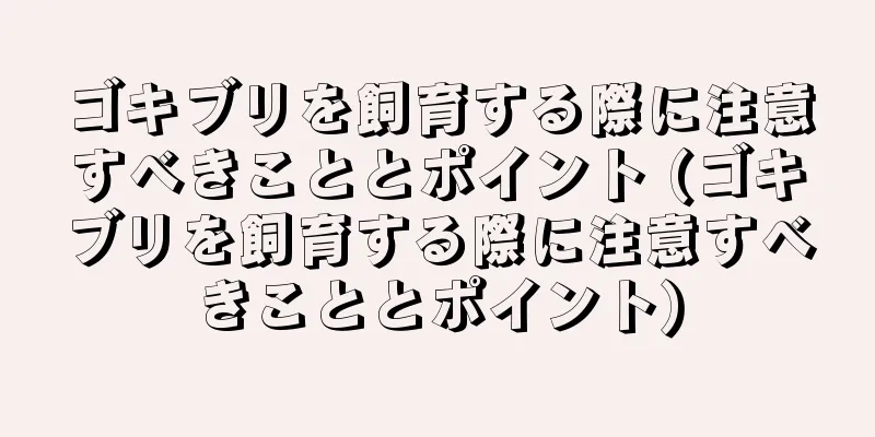 ゴキブリを飼育する際に注意すべきこととポイント (ゴキブリを飼育する際に注意すべきこととポイント)