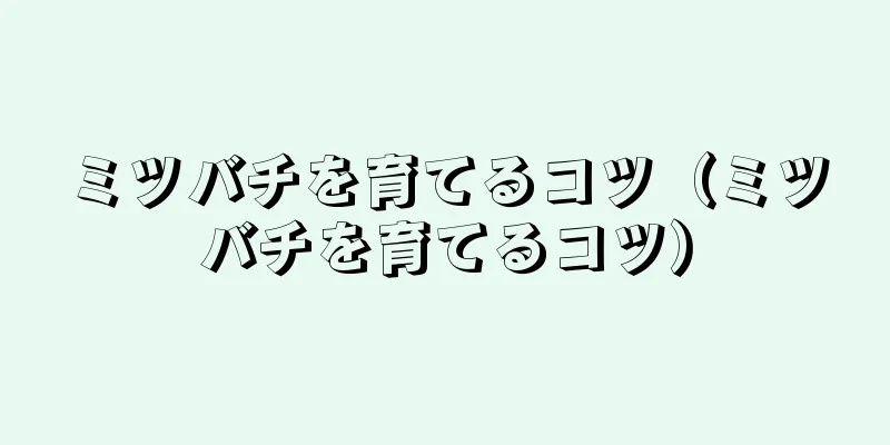 ミツバチを育てるコツ（ミツバチを育てるコツ）