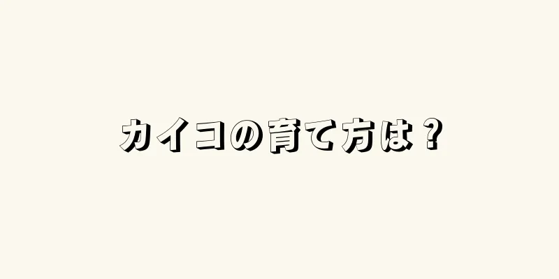 カイコの育て方は？