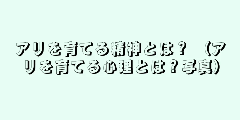 アリを育てる精神とは？ （アリを育てる心理とは？写真）