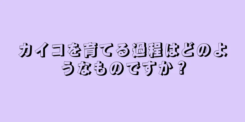 カイコを育てる過程はどのようなものですか？