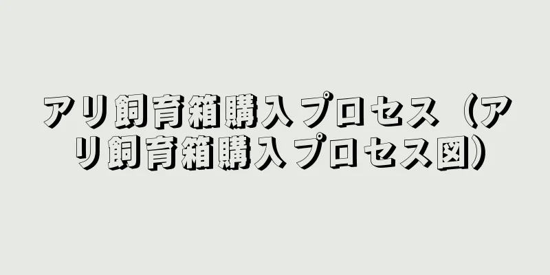 アリ飼育箱購入プロセス（アリ飼育箱購入プロセス図）