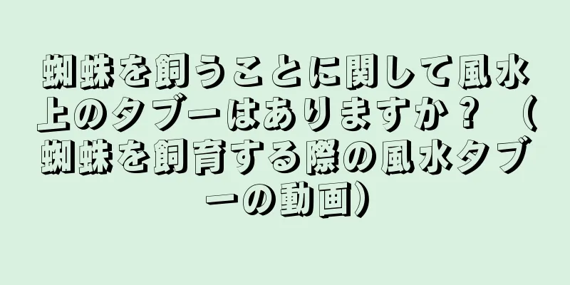 蜘蛛を飼うことに関して風水上のタブーはありますか？ （蜘蛛を飼育する際の風水タブーの動画）