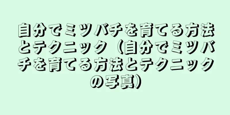 自分でミツバチを育てる方法とテクニック（自分でミツバチを育てる方法とテクニックの写真）