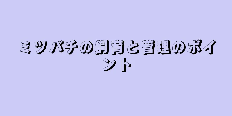 ミツバチの飼育と管理のポイント