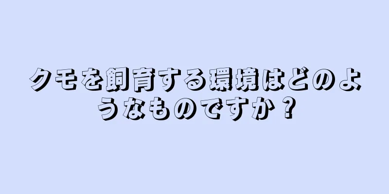 クモを飼育する環境はどのようなものですか？