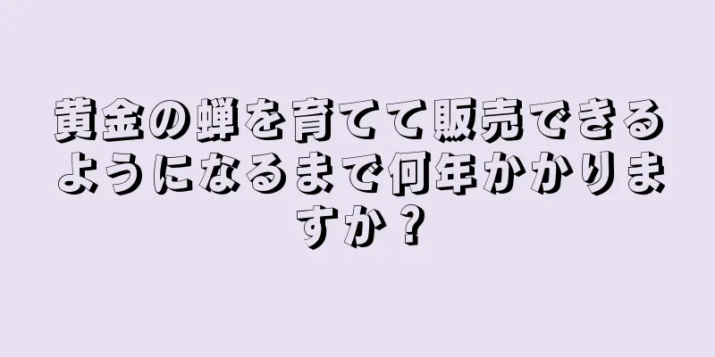 黄金の蝉を育てて販売できるようになるまで何年かかりますか？