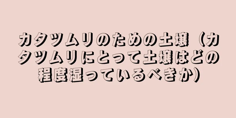 カタツムリのための土壌（カタツムリにとって土壌はどの程度湿っているべきか）