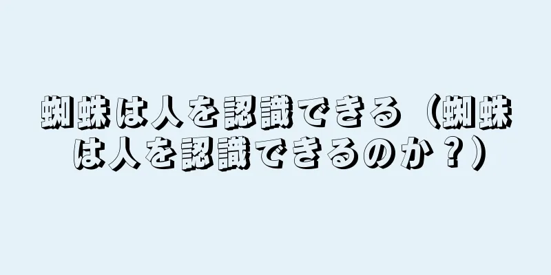 蜘蛛は人を認識できる（蜘蛛は人を認識できるのか？）