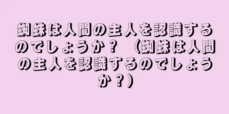 蜘蛛は人間の主人を認識するのでしょうか？ （蜘蛛は人間の主人を認識するのでしょうか？）