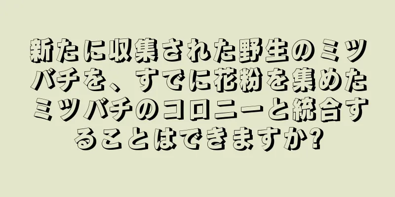 新たに収集された野生のミツバチを、すでに花粉を集めたミツバチのコロニーと統合することはできますか?