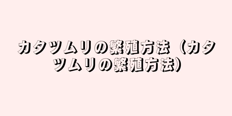 カタツムリの繁殖方法（カタツムリの繁殖方法）