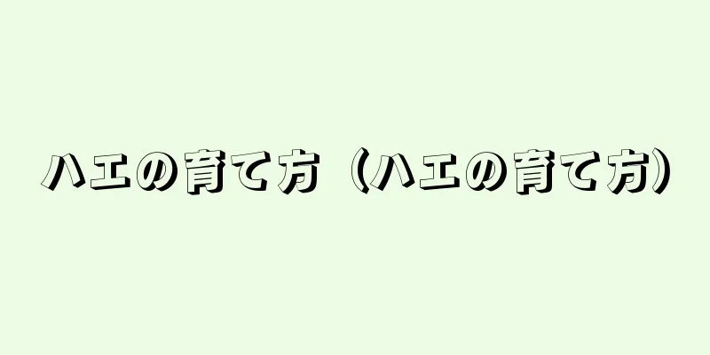 ハエの育て方（ハエの育て方）