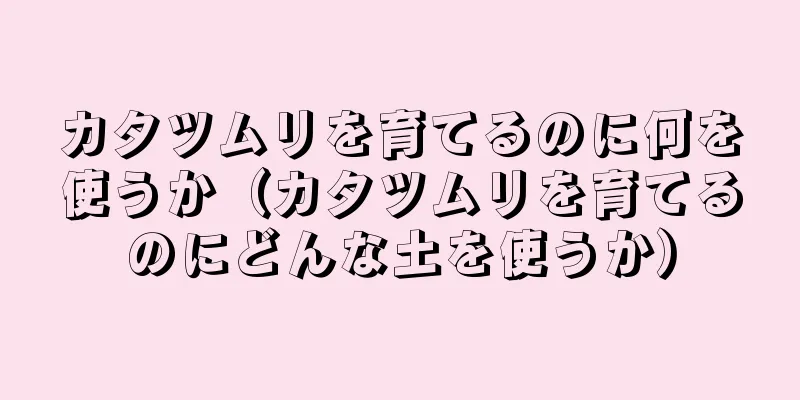 カタツムリを育てるのに何を使うか（カタツムリを育てるのにどんな土を使うか）