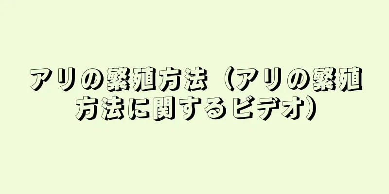 アリの繁殖方法（アリの繁殖方法に関するビデオ）
