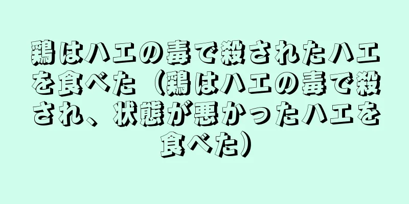 鶏はハエの毒で殺されたハエを食べた（鶏はハエの毒で殺され、状態が悪かったハエを食べた）