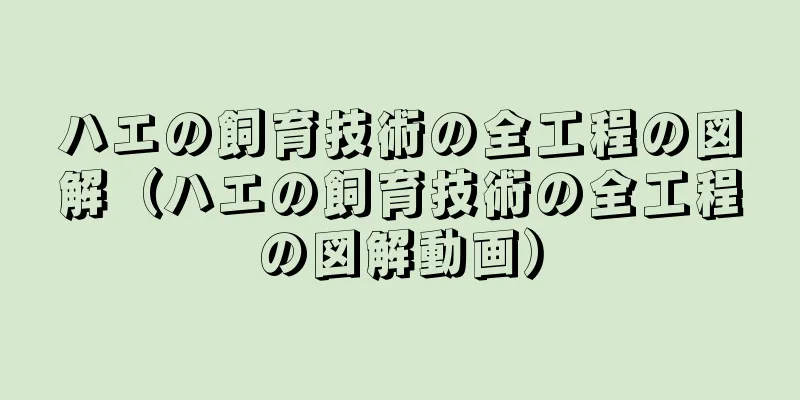 ハエの飼育技術の全工程の図解（ハエの飼育技術の全工程の図解動画）