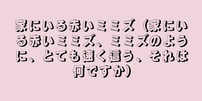 家にいる赤いミミズ（家にいる赤いミミズ、ミミズのように、とても速く這う、それは何ですか）
