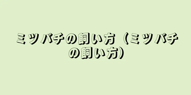 ミツバチの飼い方（ミツバチの飼い方）