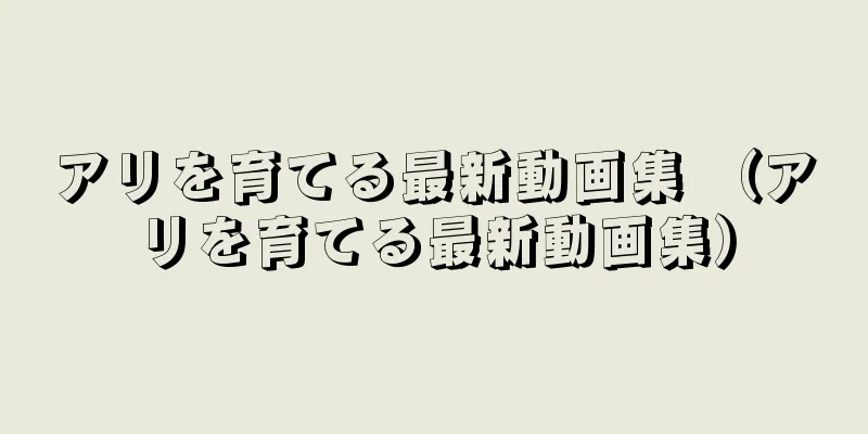 アリを育てる最新動画集 （アリを育てる最新動画集）